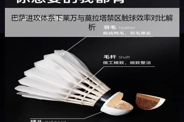 巴萨进攻体系下莱万与莫拉塔禁区触球效率对比解析（kaiyun）